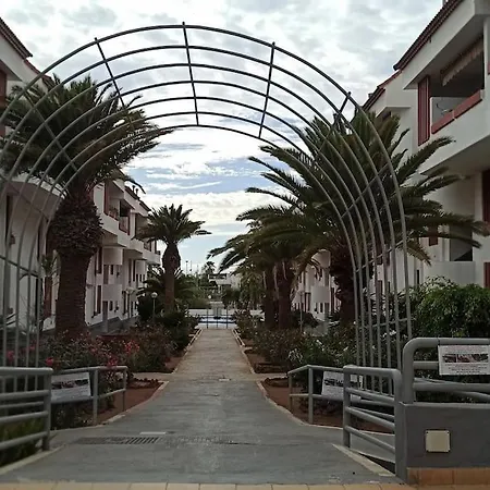 Altemar In Americas *