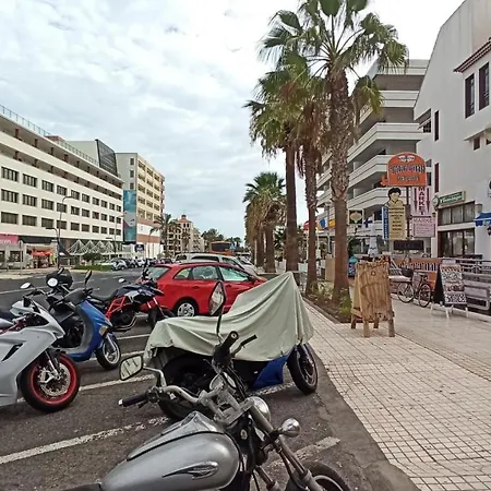 Apartment Altemar In Americas *