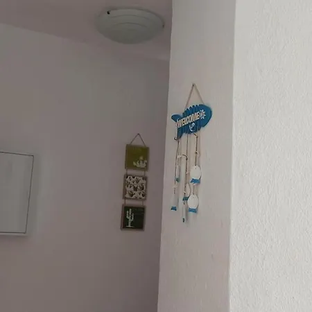 Altemar In Americas アロナ